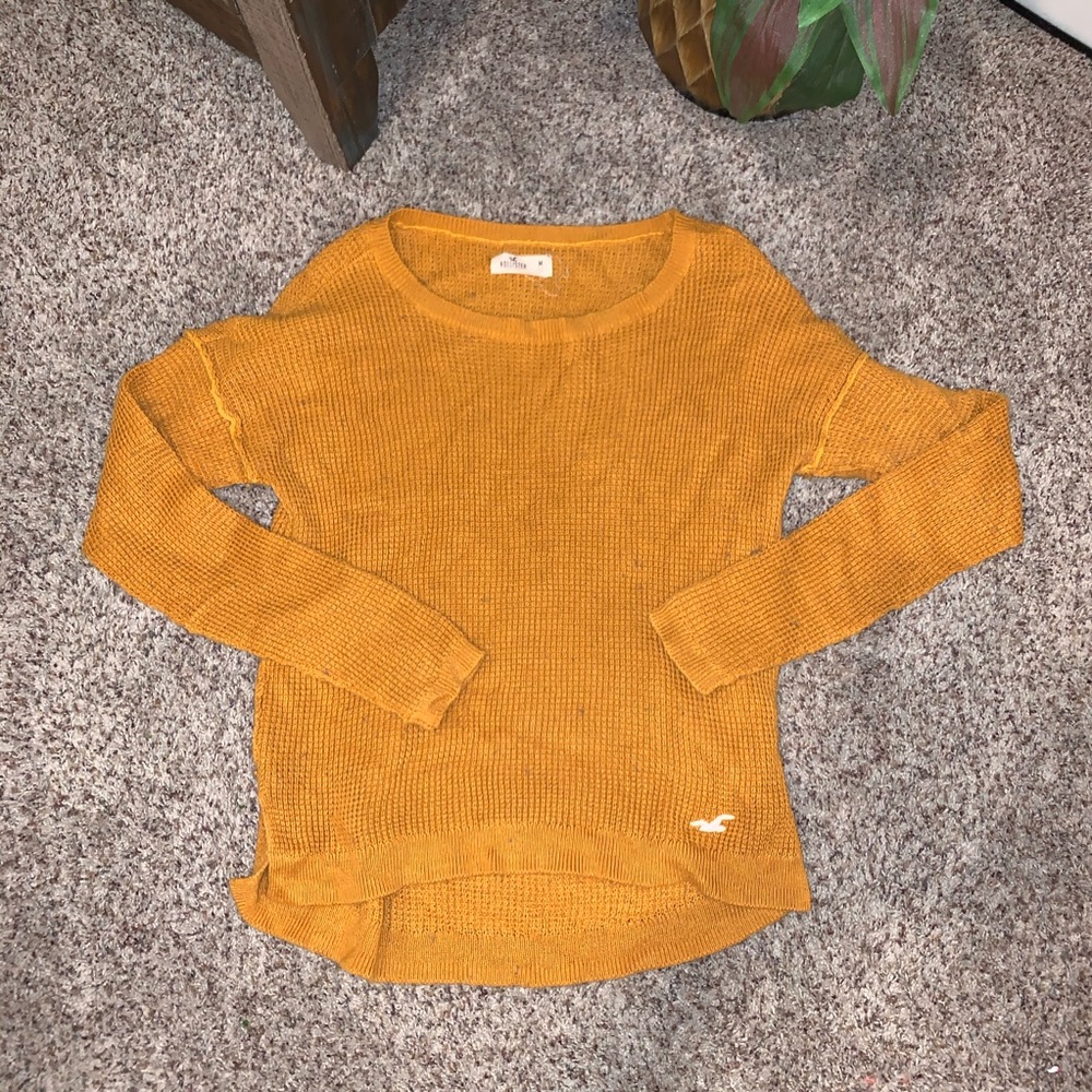 Hollister Sweater